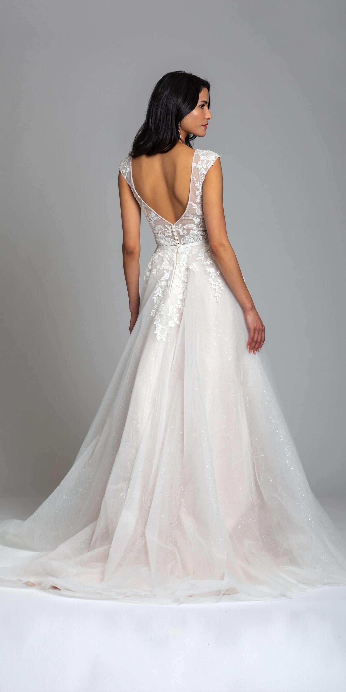 Camille La Vie Illusion Cap Sleeve Plunging Glitter Ballgown