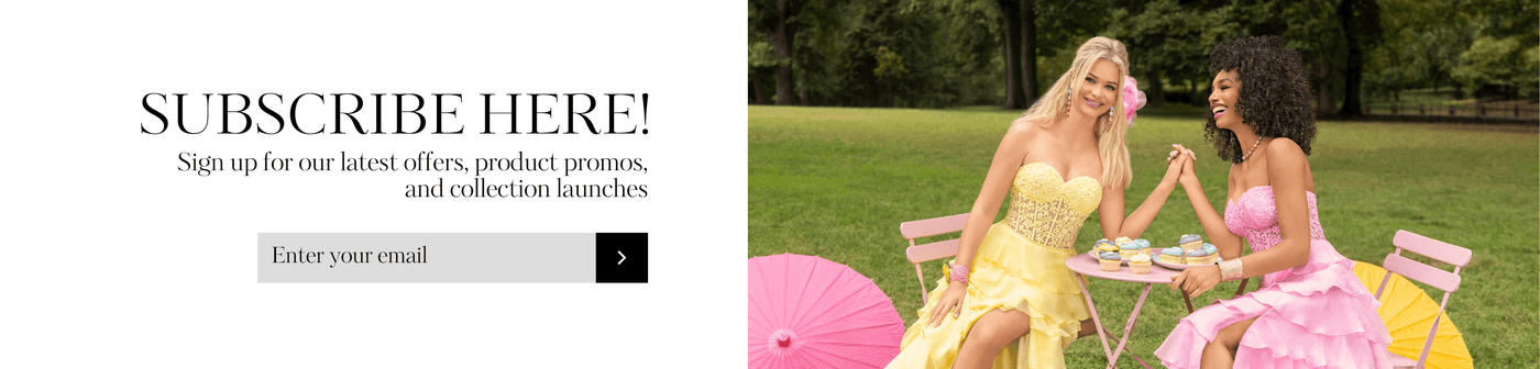 Subscription Banner Desktop