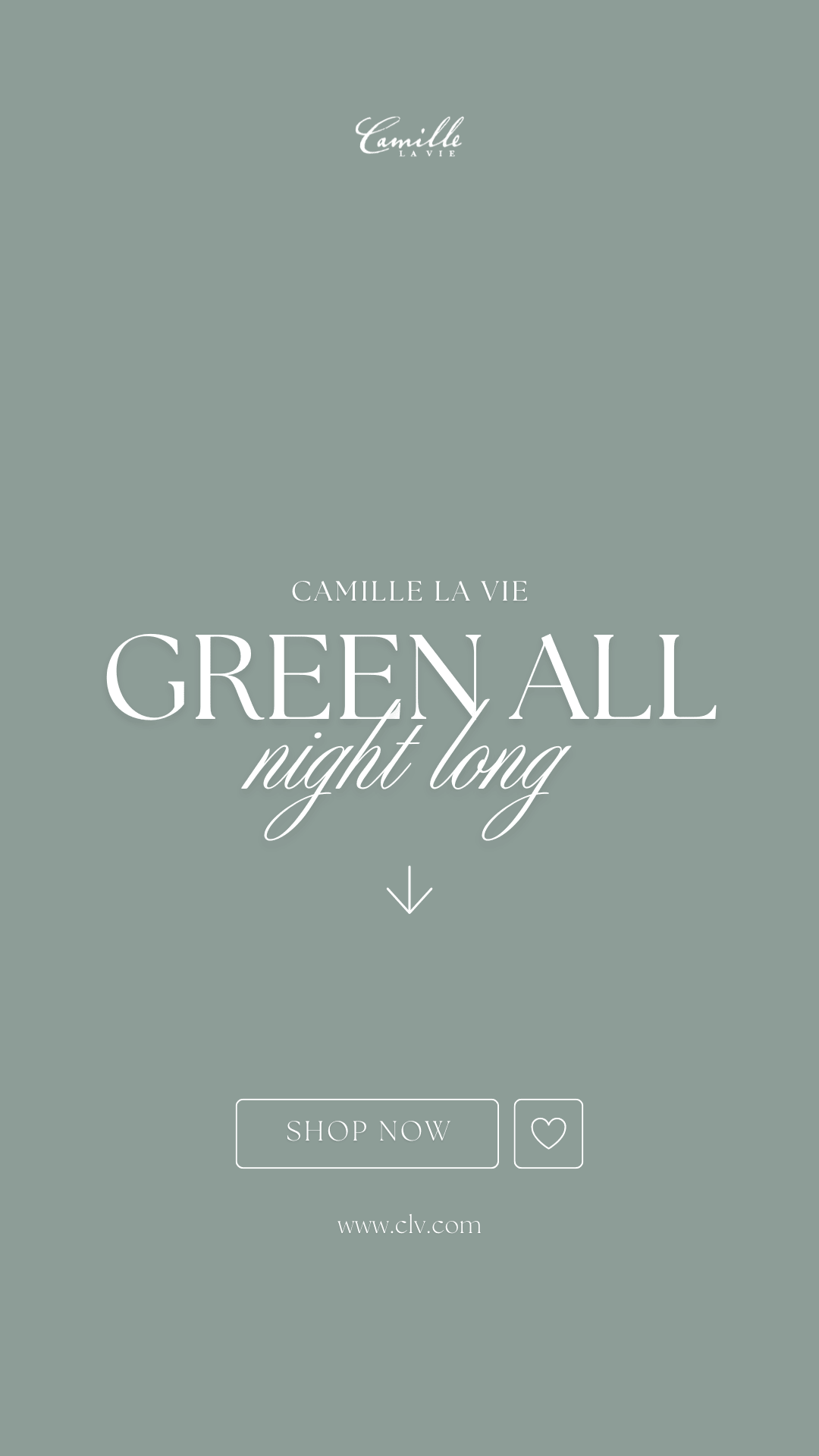 Have you Shopped for your Homecoming Dress Yet?