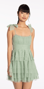 Tiered Mesh Embossed Fit and Flare Dress with Tie Straps Image 1