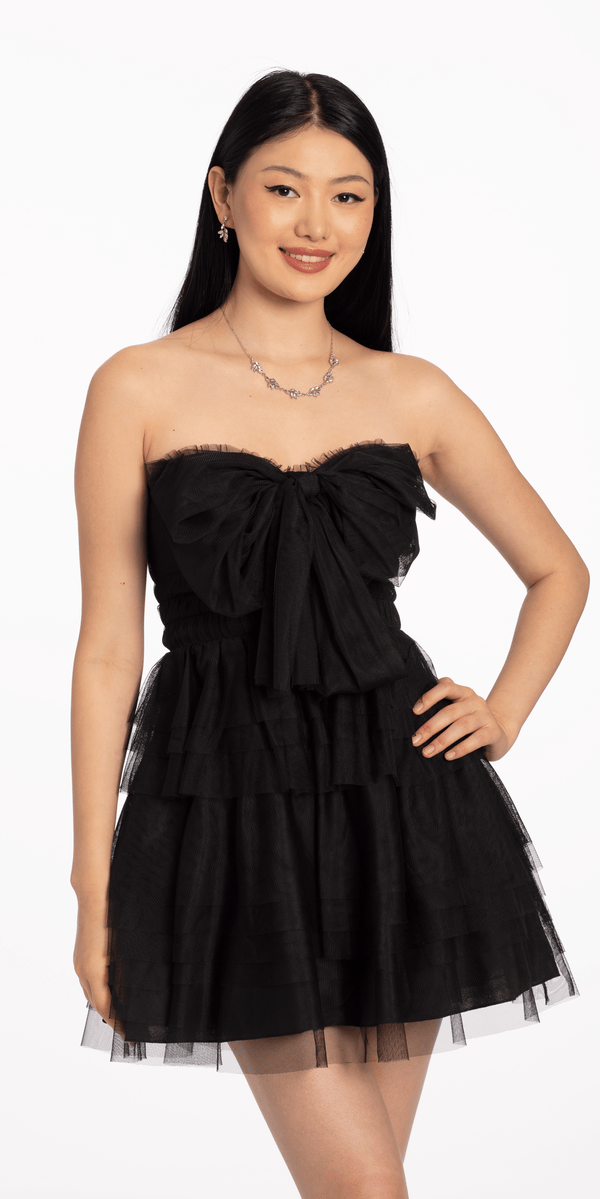 Mesh Bow Front Tiered  Fit and Flare Dress Image 2