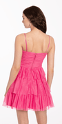 Mock Corset Mesh Tiered Fit and Flare Dress Image 2