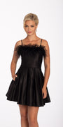 Pleated Satin Fit and Flare Dress with Feather Detail Image 1