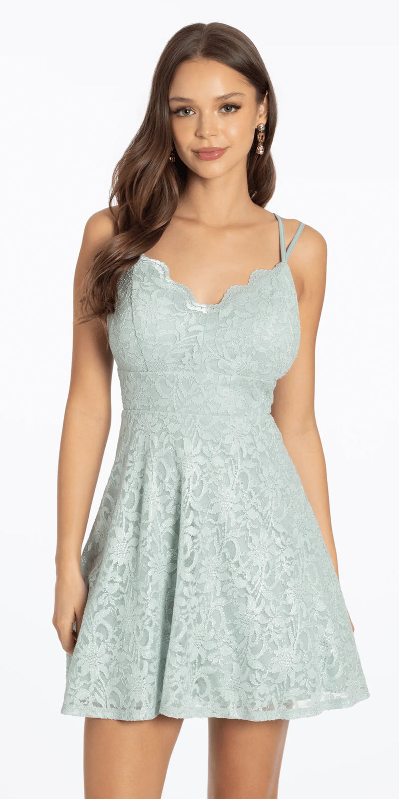 Lace Scallop Neck Fit and Flare Dress junior / 8 / light-green
