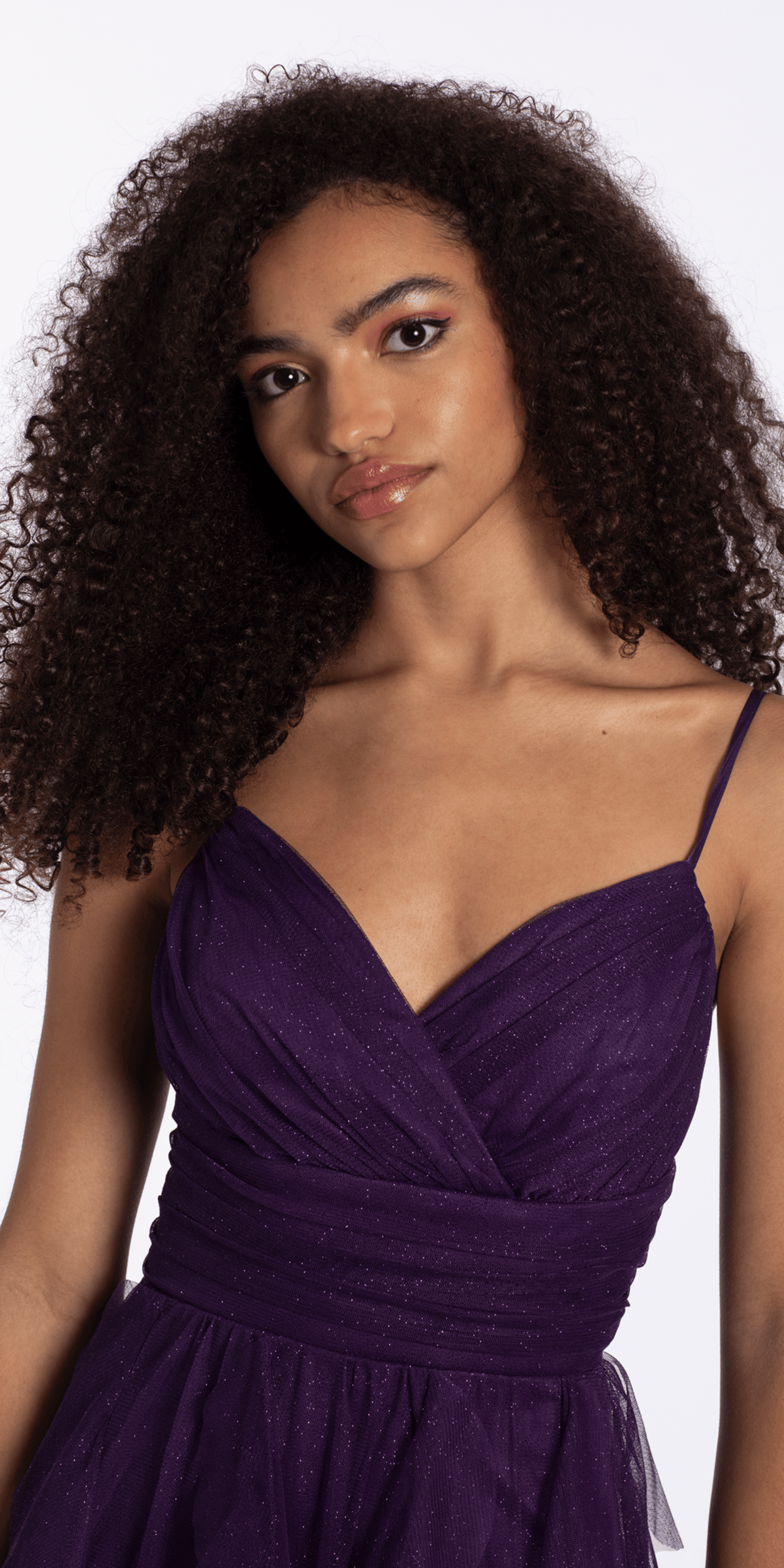 grape/size/4/missy/Camille La Vie/ Lace Up Back Tiered Glitter Mesh Fit and Flare Dress/close up