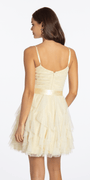 butter/size/4/missy/Camille La Vie /Glitter Mesh Corset Fit and Flare Dress with Satin Tie/back