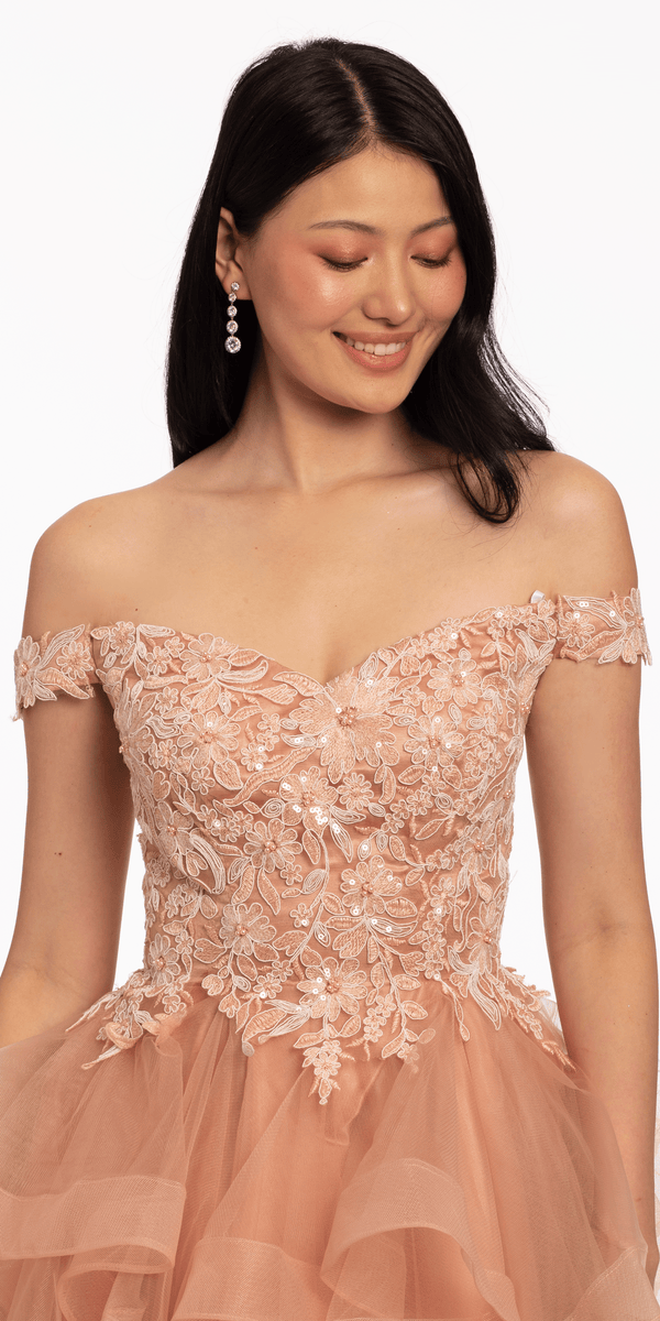 Floral Embroidered Off the Shoulder Tiered Tulle Fit and Flare Dress Image 2