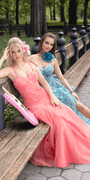 Sweetheart Mesh Corset Mermaid Dress Image 1