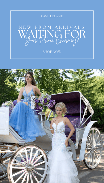 Dresses for Prom Homecoming Evenings and More Camille La Vie
