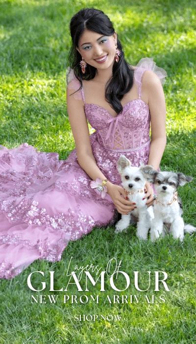 Dresses for Prom Homecoming Evenings and More Camille La Vie