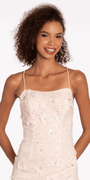 Mesh 3D Butterfly Lace Up Back Sheath Dress Image 2